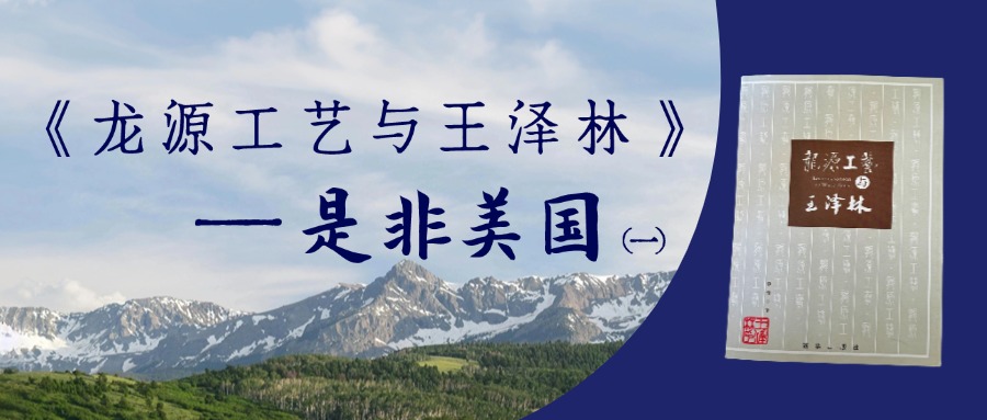 《龙源工艺与王泽林》——是非美国（一）