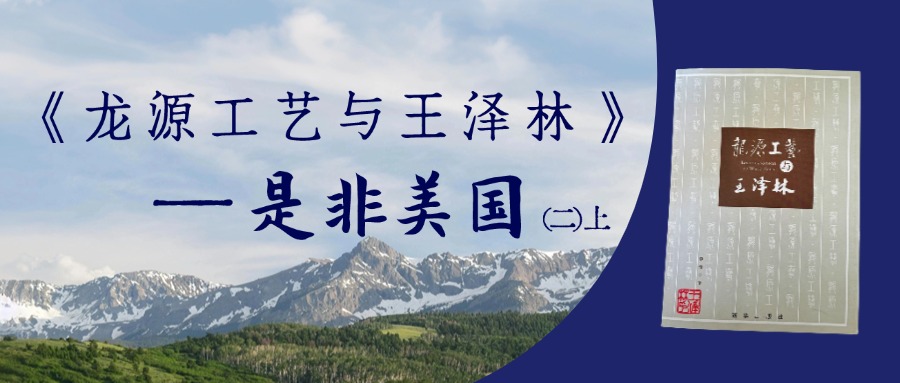 《龙源工艺与王泽林》——是非美国（二）上